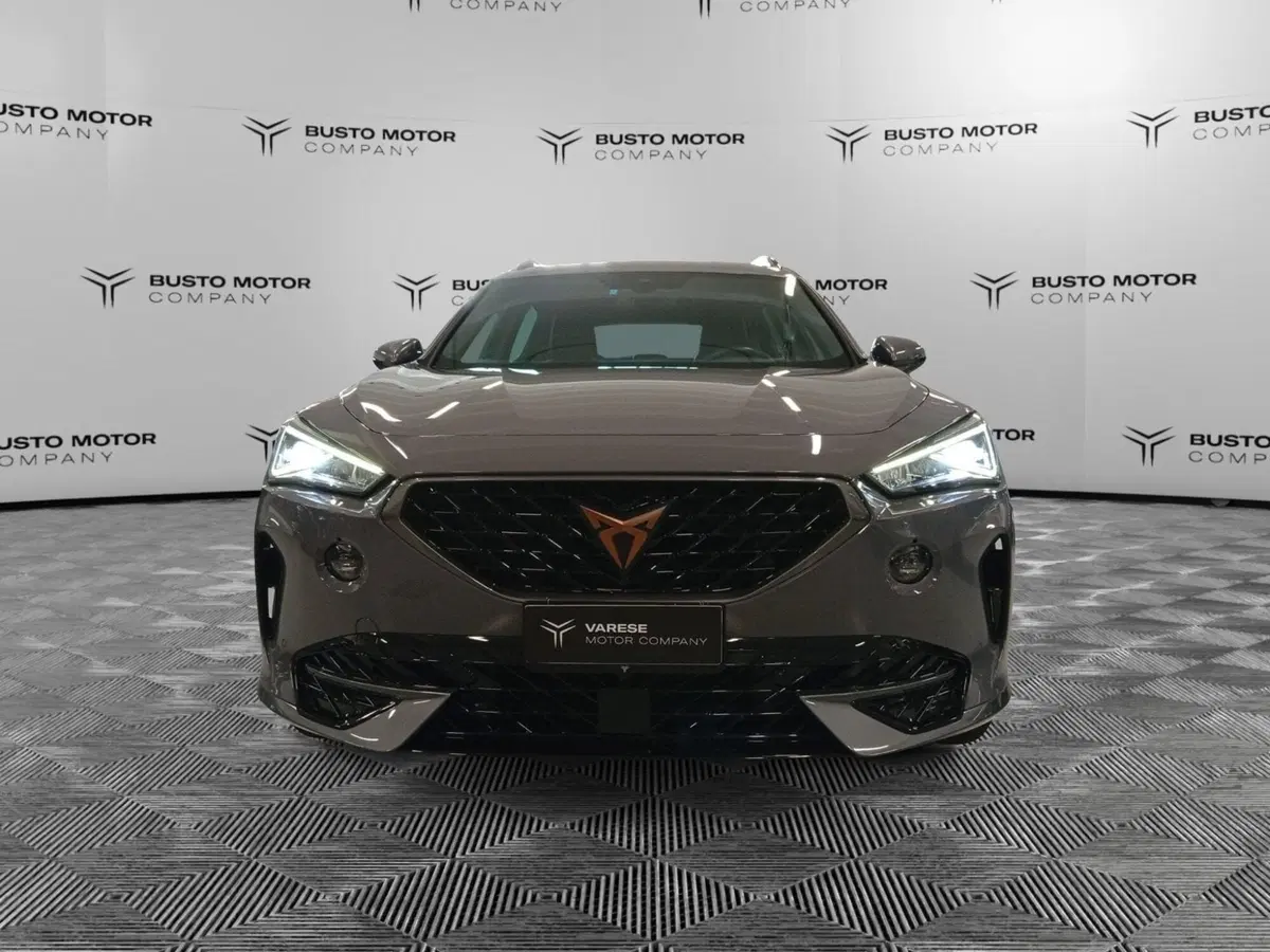 Cupra Formentor usata a Varese (2)