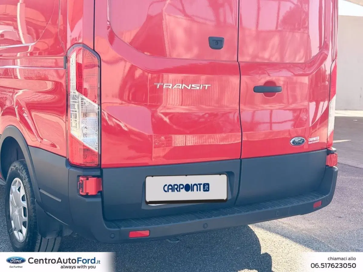 Ford Transit Furgone usata a Roma (14)