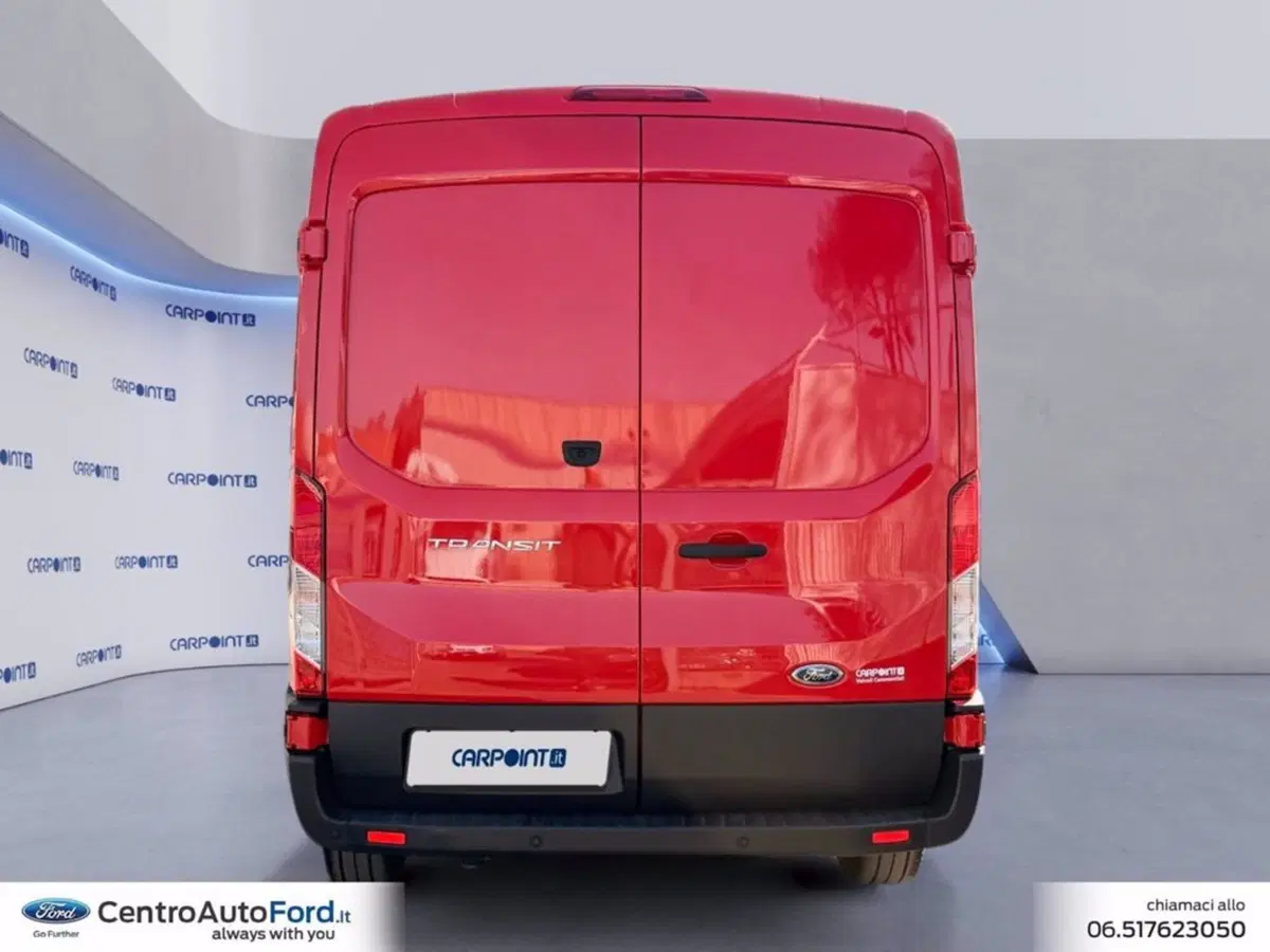 Ford Transit Furgone usata a Roma (4)