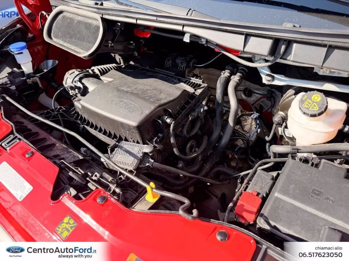 Ford Transit Furgone usata a Roma (9)