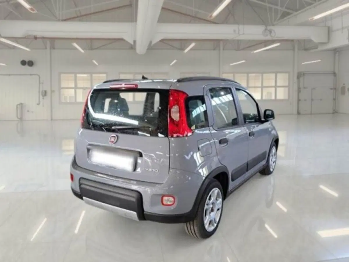 Fiat Panda nuova a Catania (2)