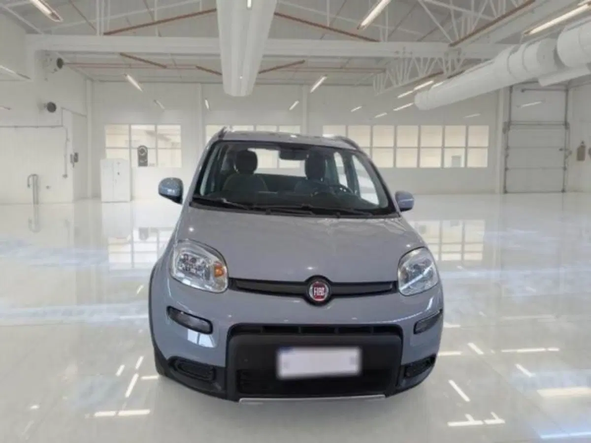 Fiat Panda nuova a Catania (6)