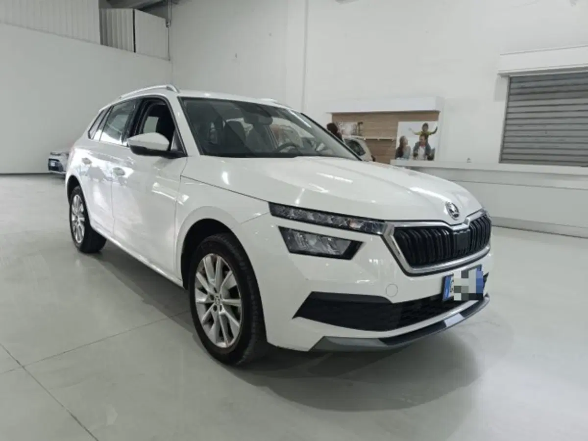 Skoda Kamiq usata a Catania