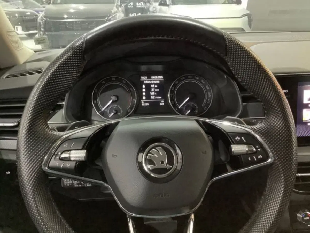 Skoda Kamiq usata a Catania (18)