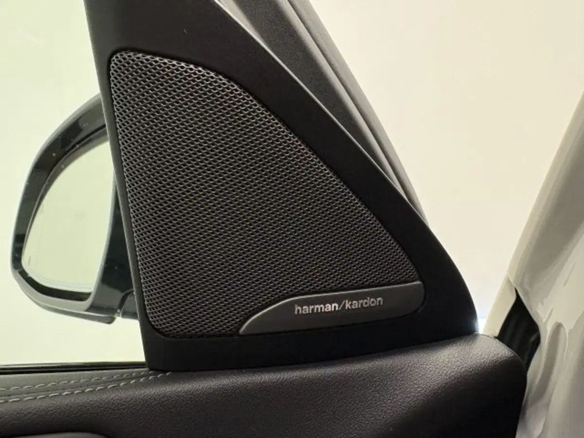 BMW X6 usata a Treviso (12)