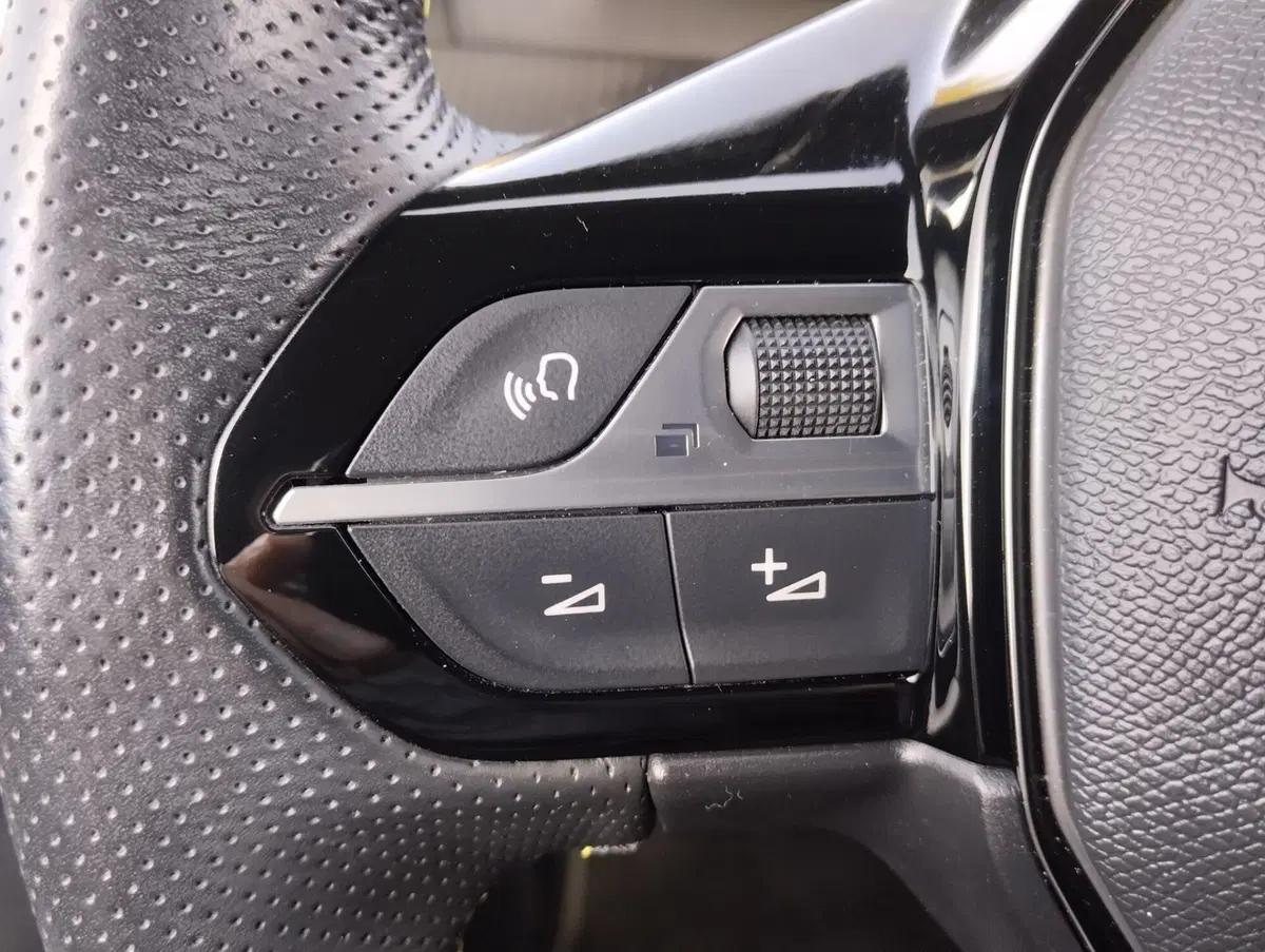 Peugeot 2008 usata a Asti (13)
