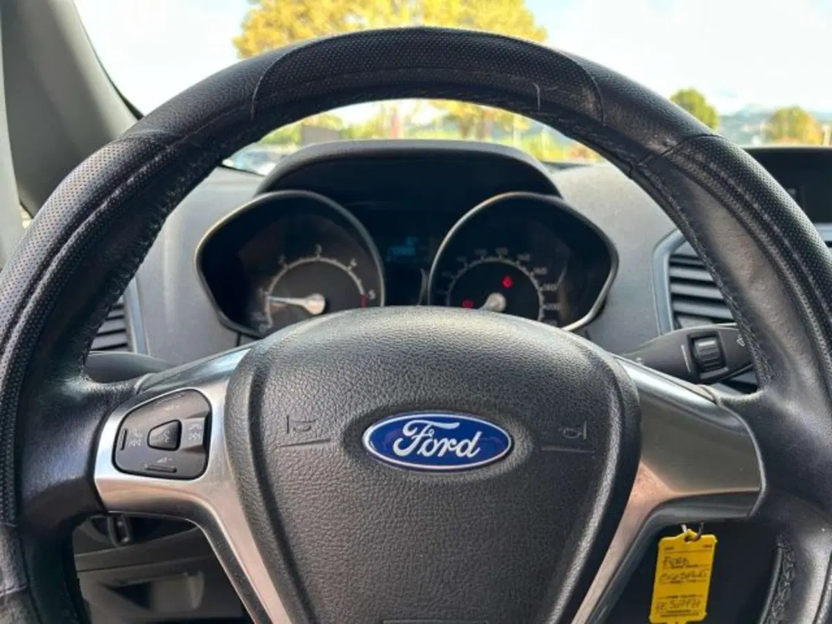 Ford EcoSport usata a Firenze (11)