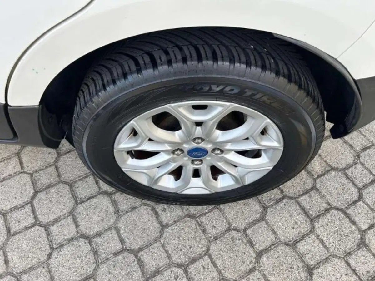 Ford EcoSport usata a Firenze (12)