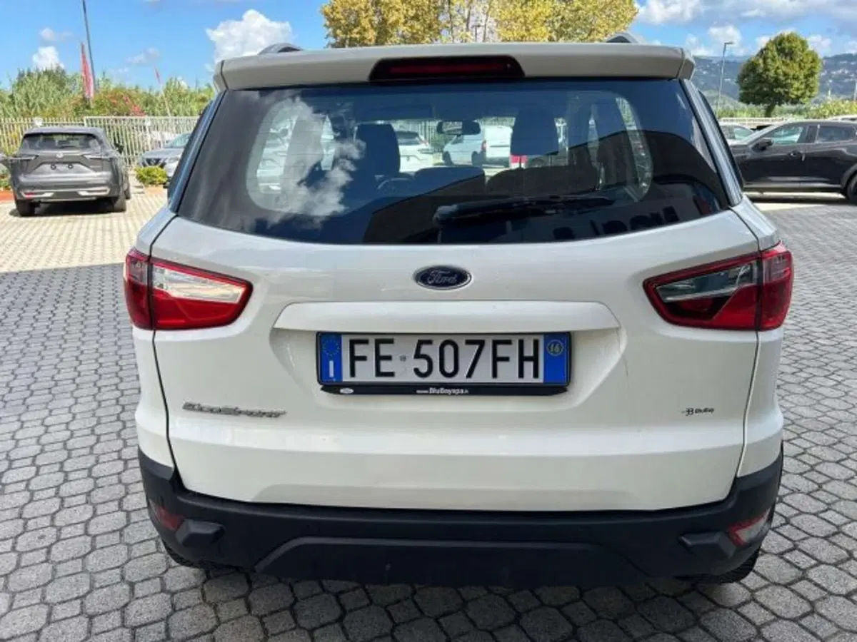 Ford EcoSport usata a Firenze (5)