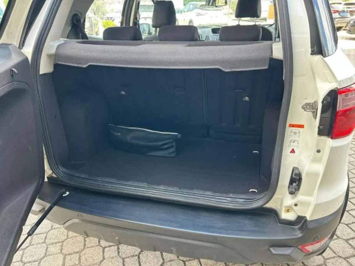 Ford EcoSport usata a Firenze (6)