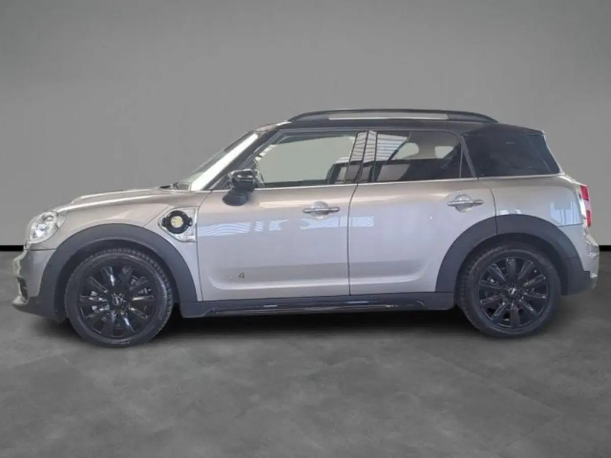 MINI Mini Countryman usata a Verona (3)