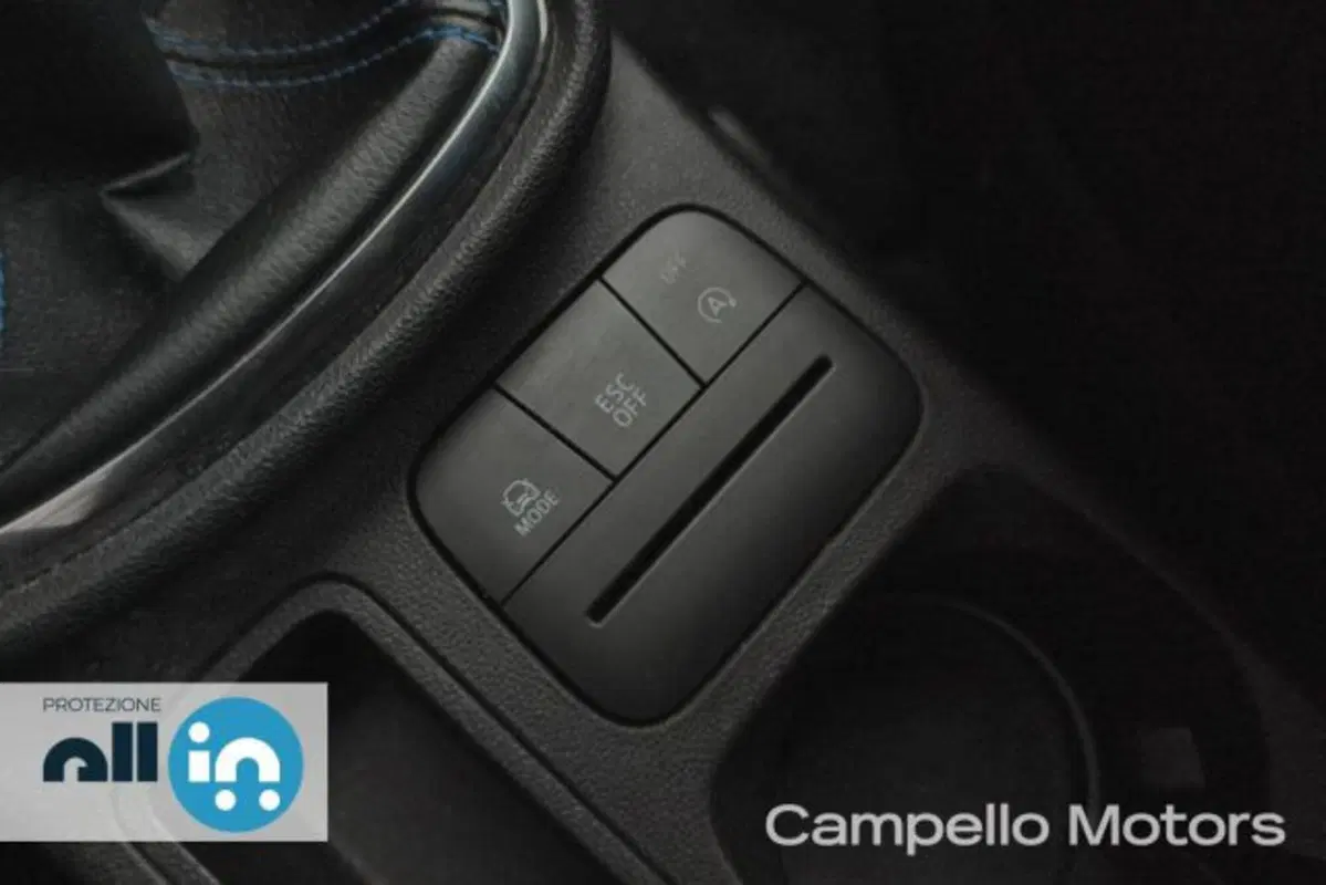 Ford Fiesta usata a Venezia (14)