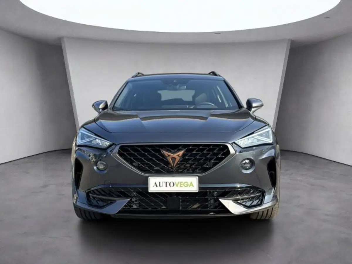 Cupra Formentor usata a Vicenza (2)