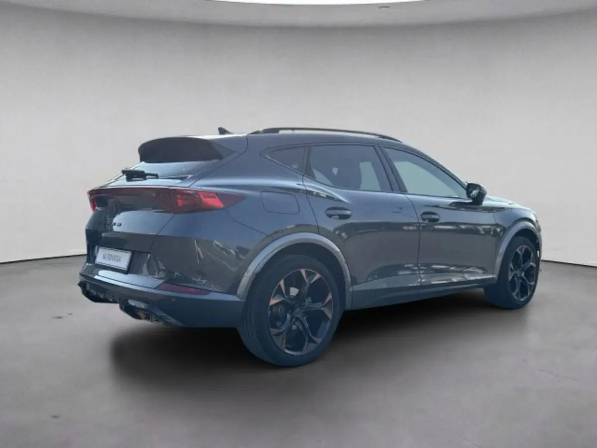 Cupra Formentor usata a Vicenza (4)