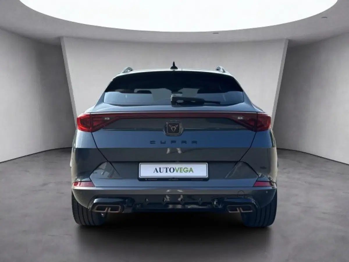 Cupra Formentor usata a Vicenza (5)