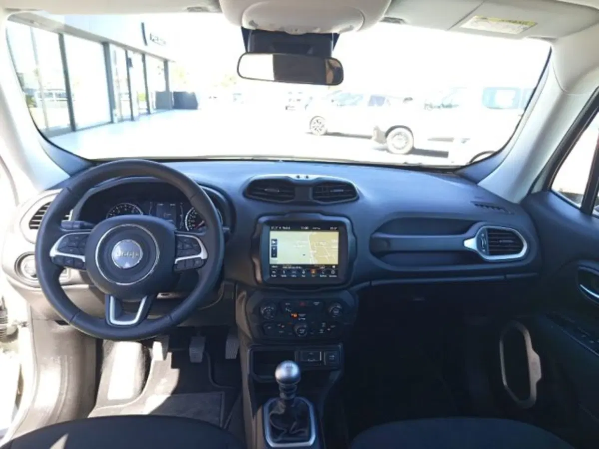 Jeep Renegade usata a Frosinone (14)