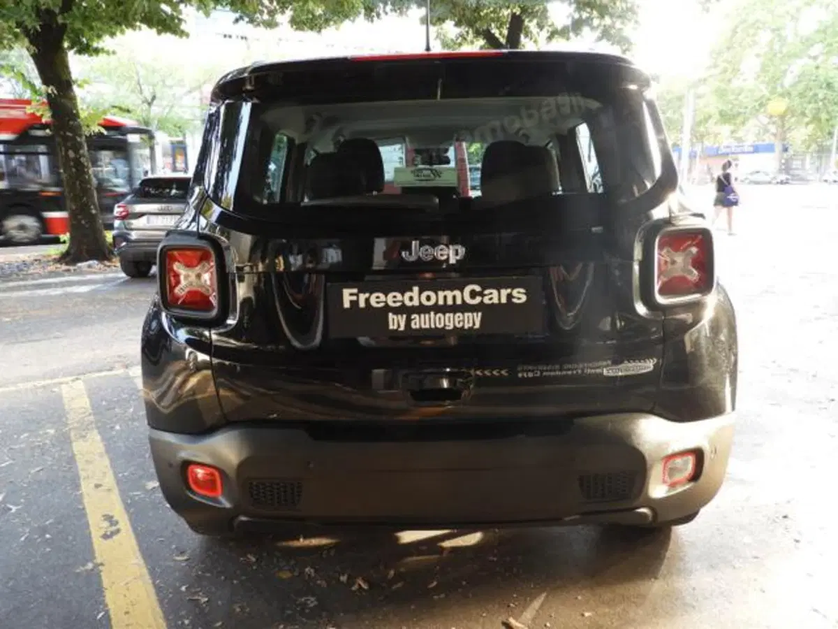 Jeep Renegade usata a Parma (4)