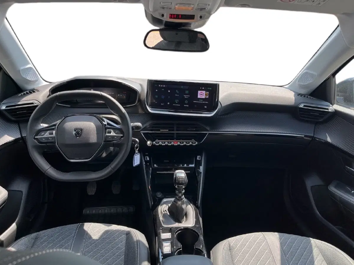 Peugeot 208 usata a Torino (11)