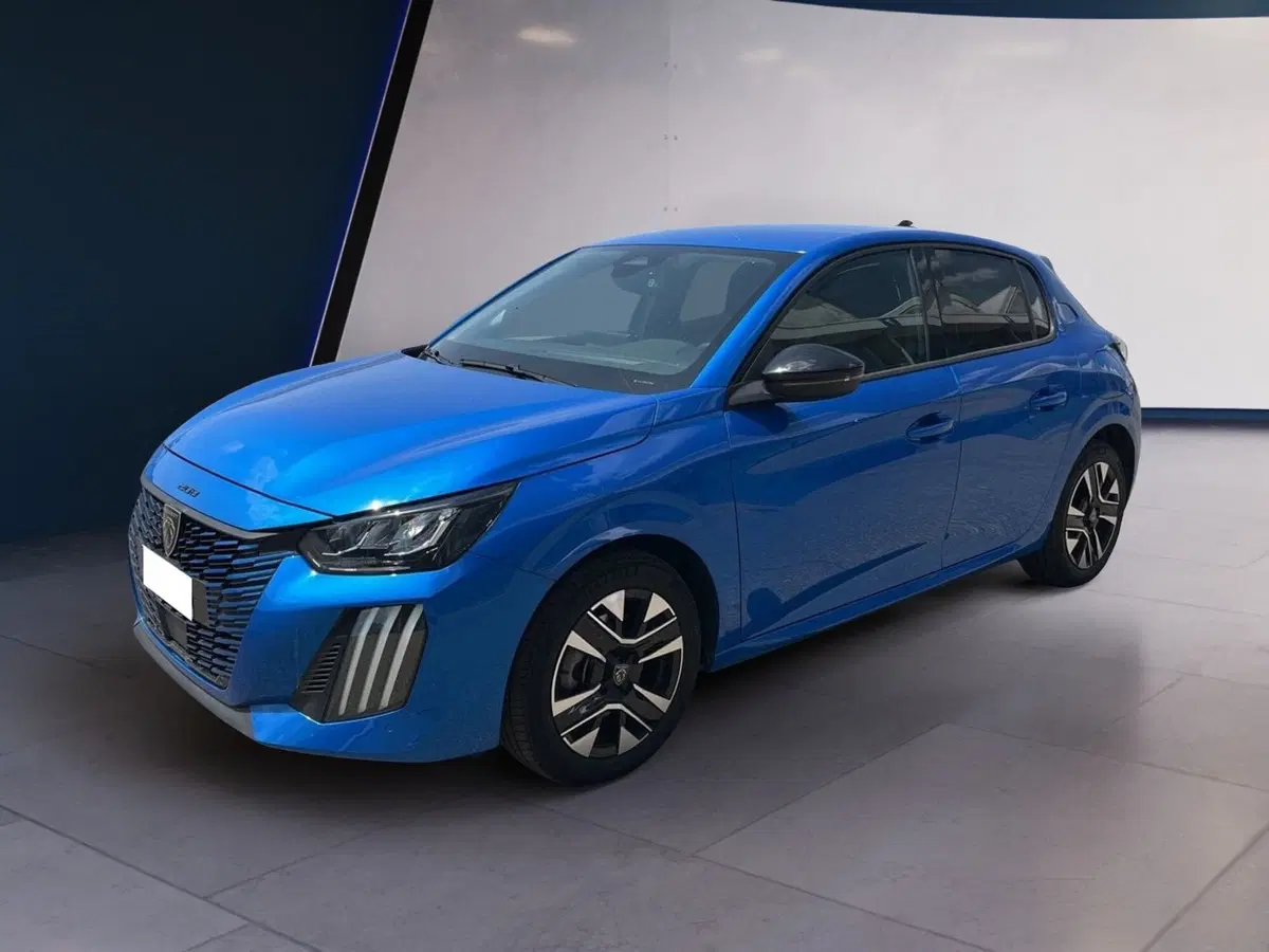 Peugeot 208 usata a Torino (2)