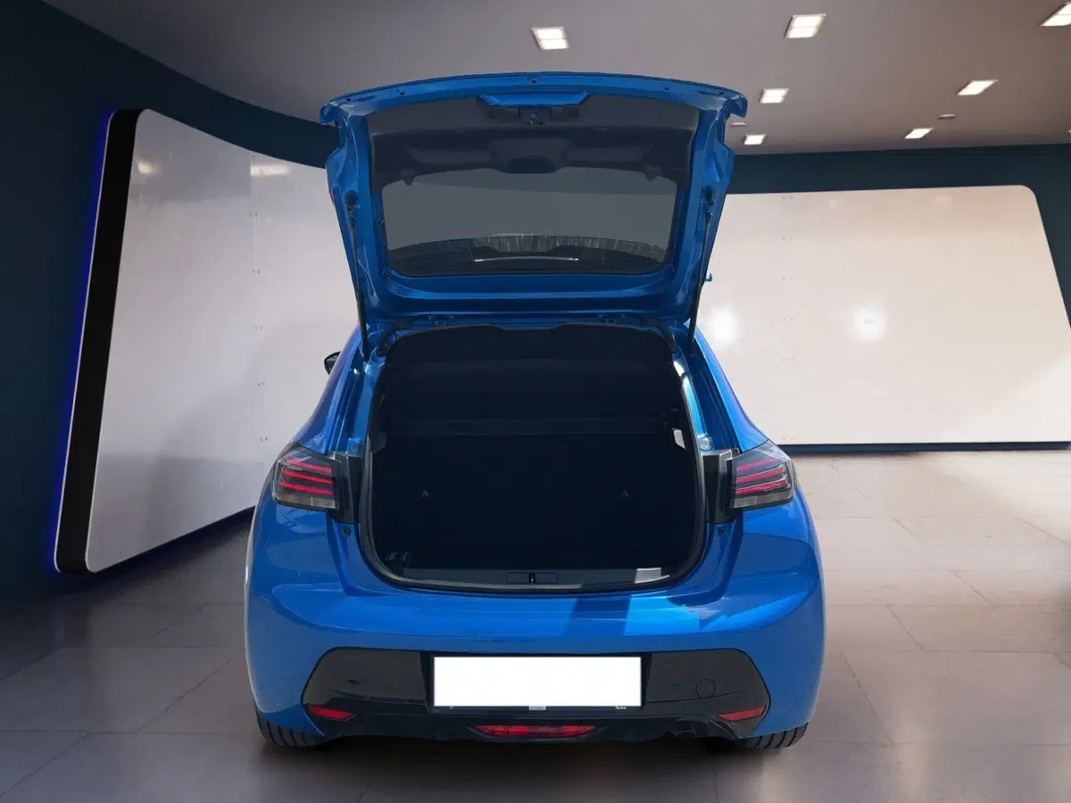 Peugeot 208 usata a Torino (8)