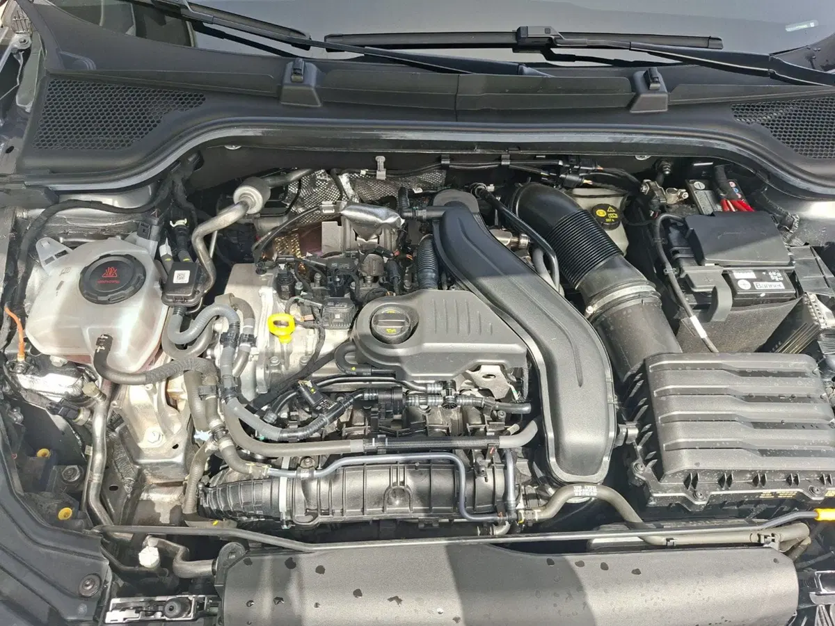 Skoda Kamiq usata a Ancona (12)