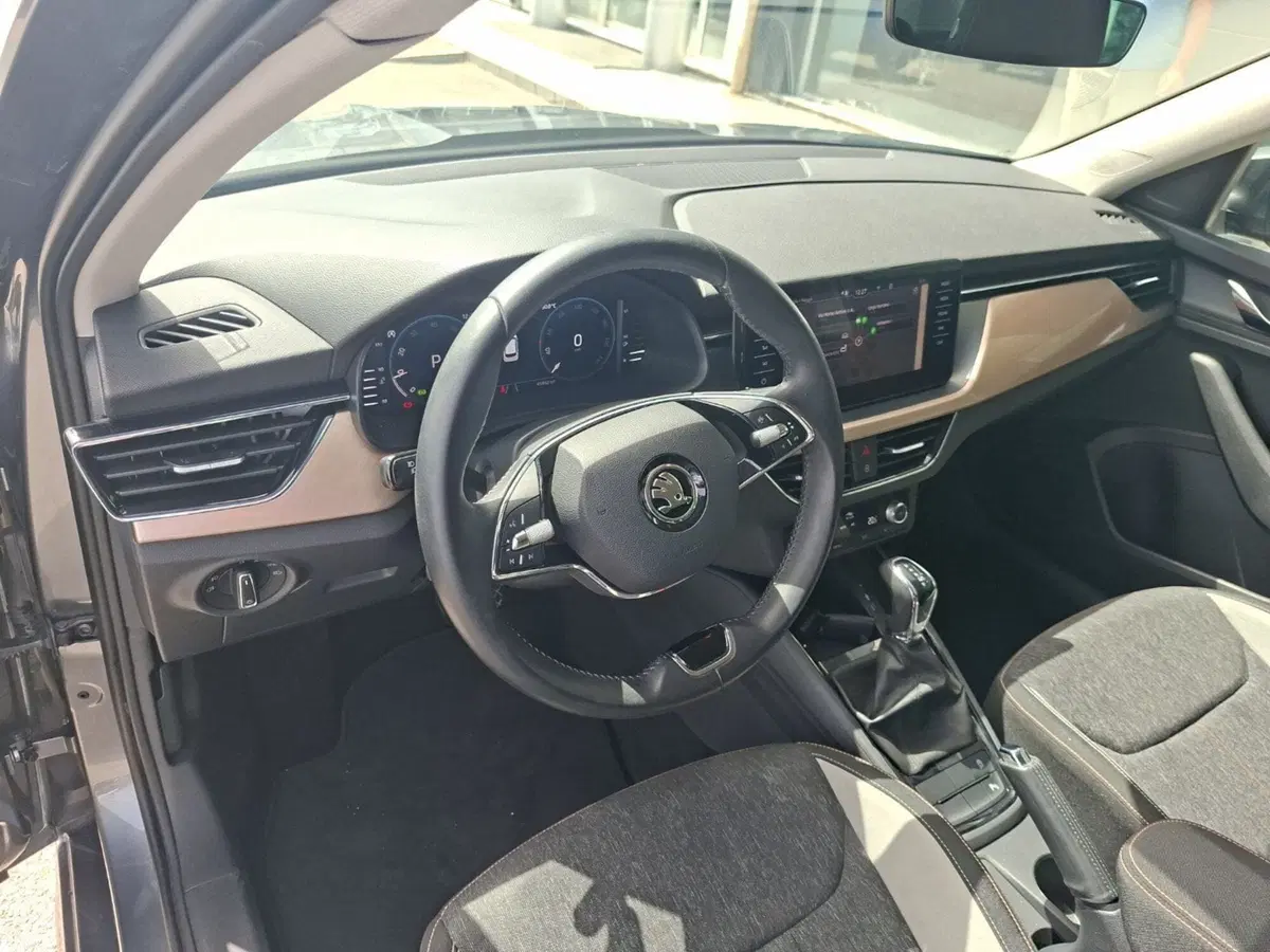 Skoda Kamiq usata a Ancona (16)