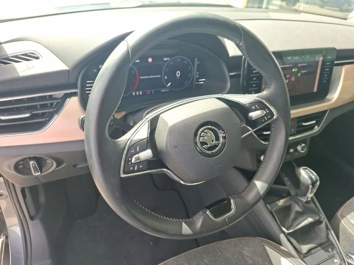 Skoda Kamiq usata a Ancona (19)