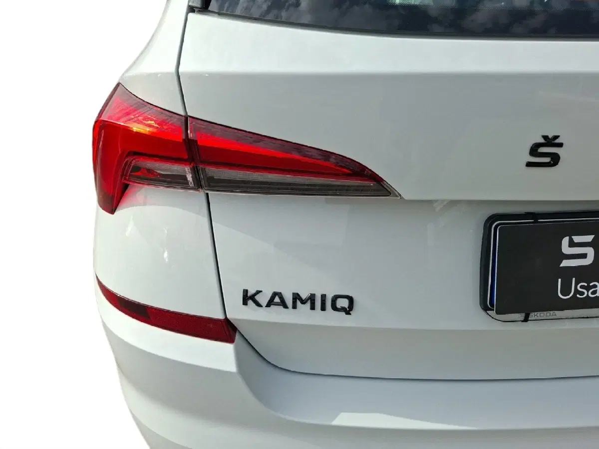 Skoda Kamiq usata a Ancona (10)