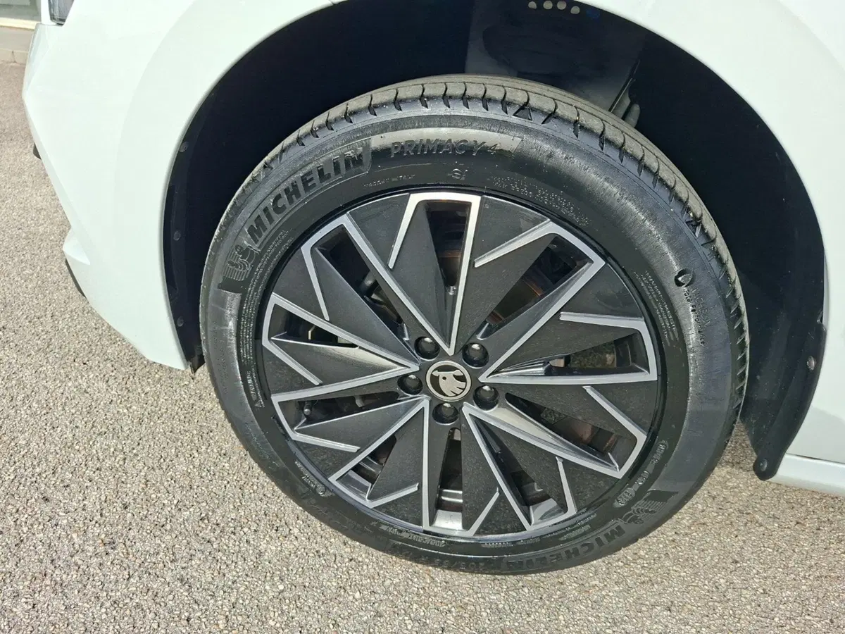 Skoda Kamiq usata a Ancona (12)