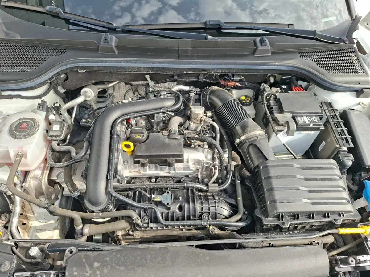 Skoda Kamiq usata a Ancona (14)
