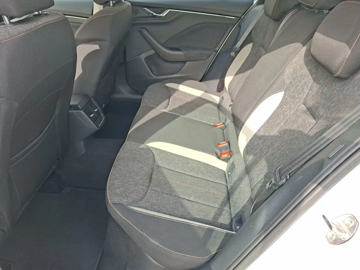 Skoda Kamiq usata a Ancona (17)