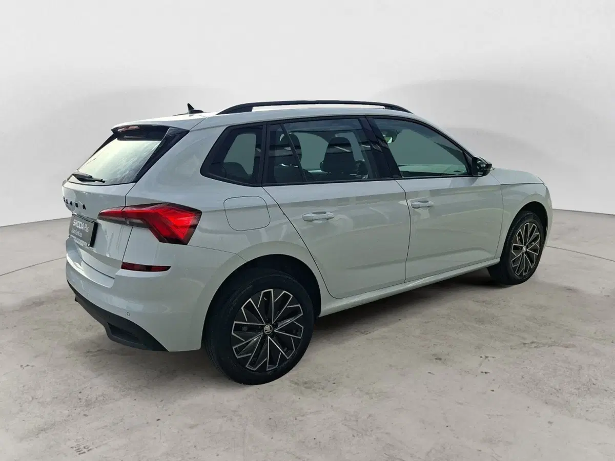 Skoda Kamiq usata a Ancona (8)