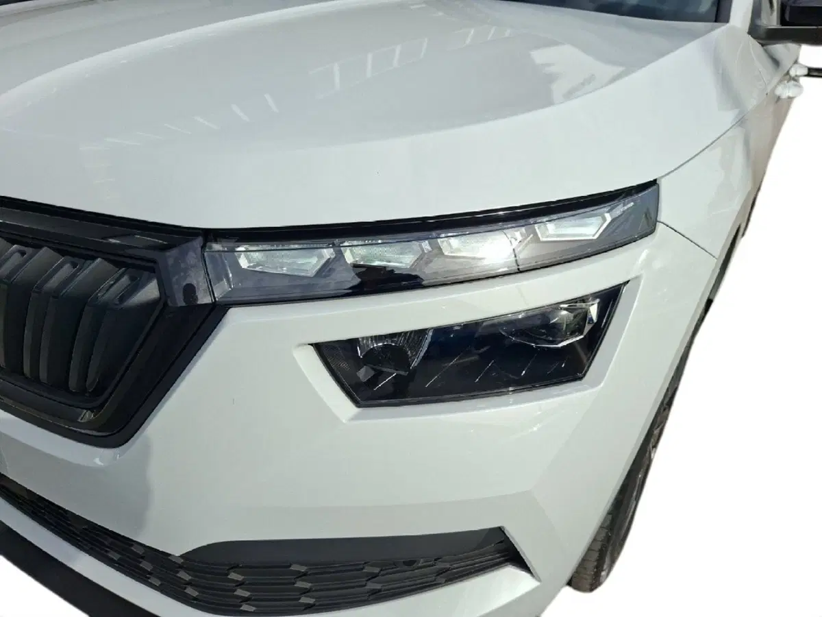 Skoda Kamiq usata a Ancona (9)