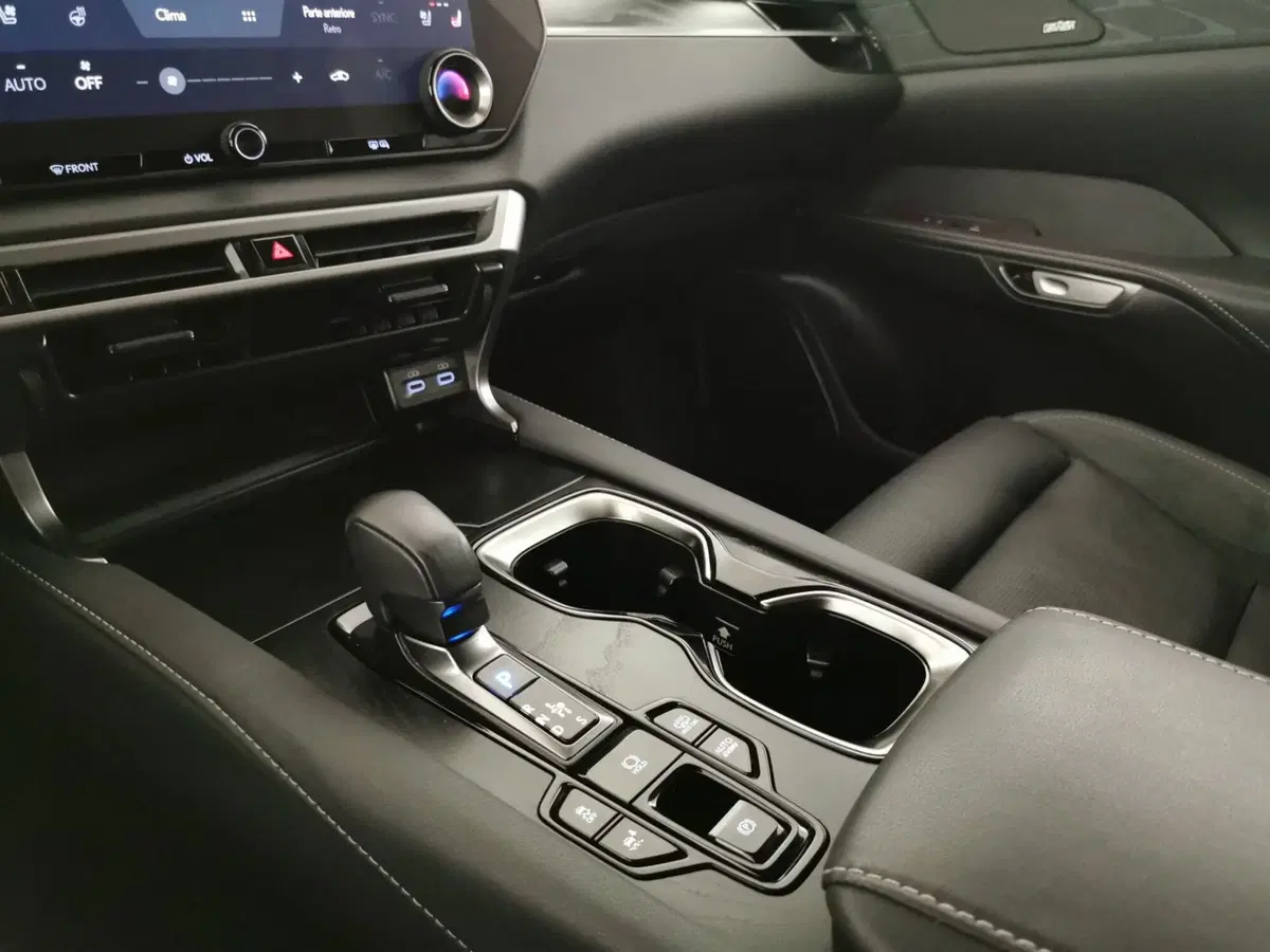 Lexus RX usata a Chieti (19)