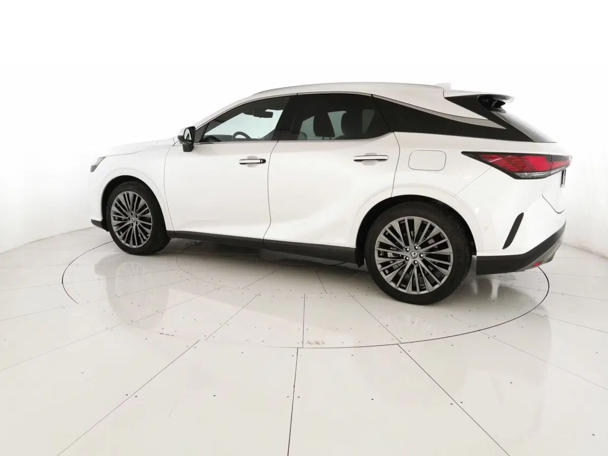Lexus RX usata a Chieti (2)
