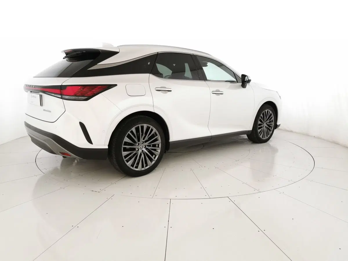 Lexus RX usata a Chieti (3)