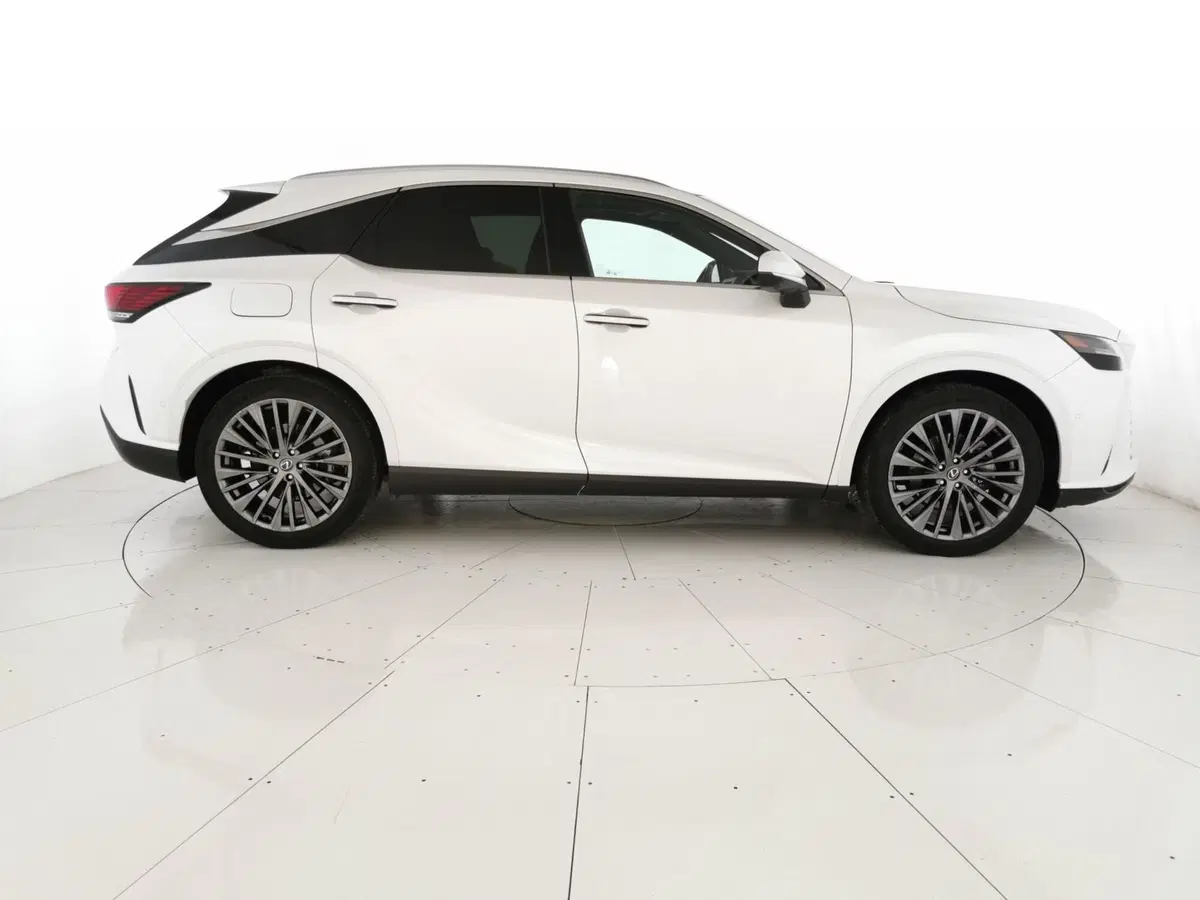 Lexus RX usata a Chieti (4)