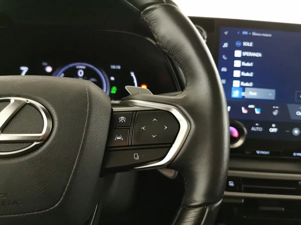 Lexus RX usata a Chieti (9)