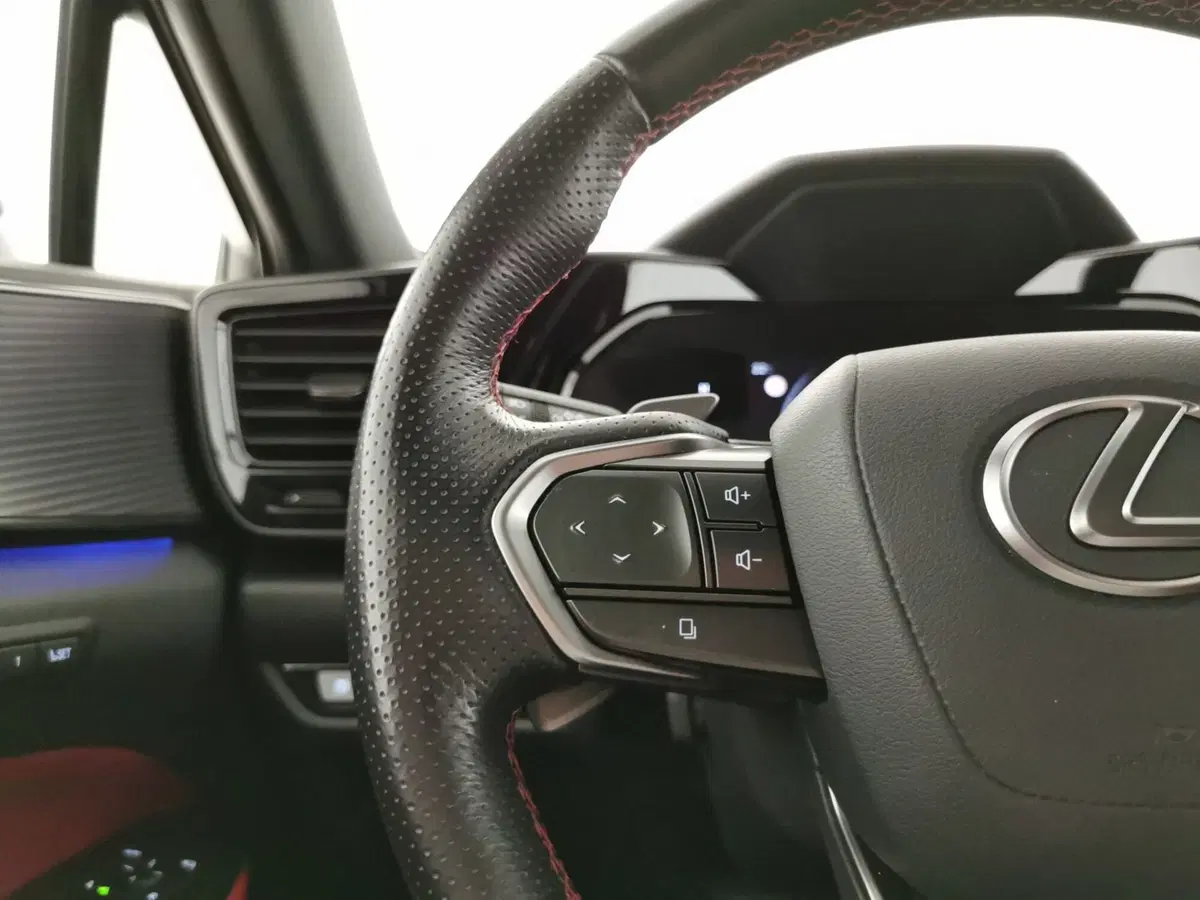 Lexus NX usata a Chieti (10)