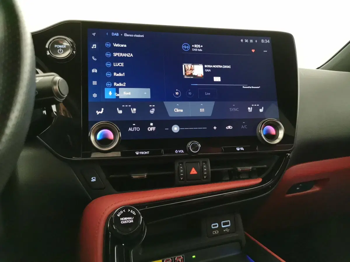 Lexus NX usata a Chieti (13)