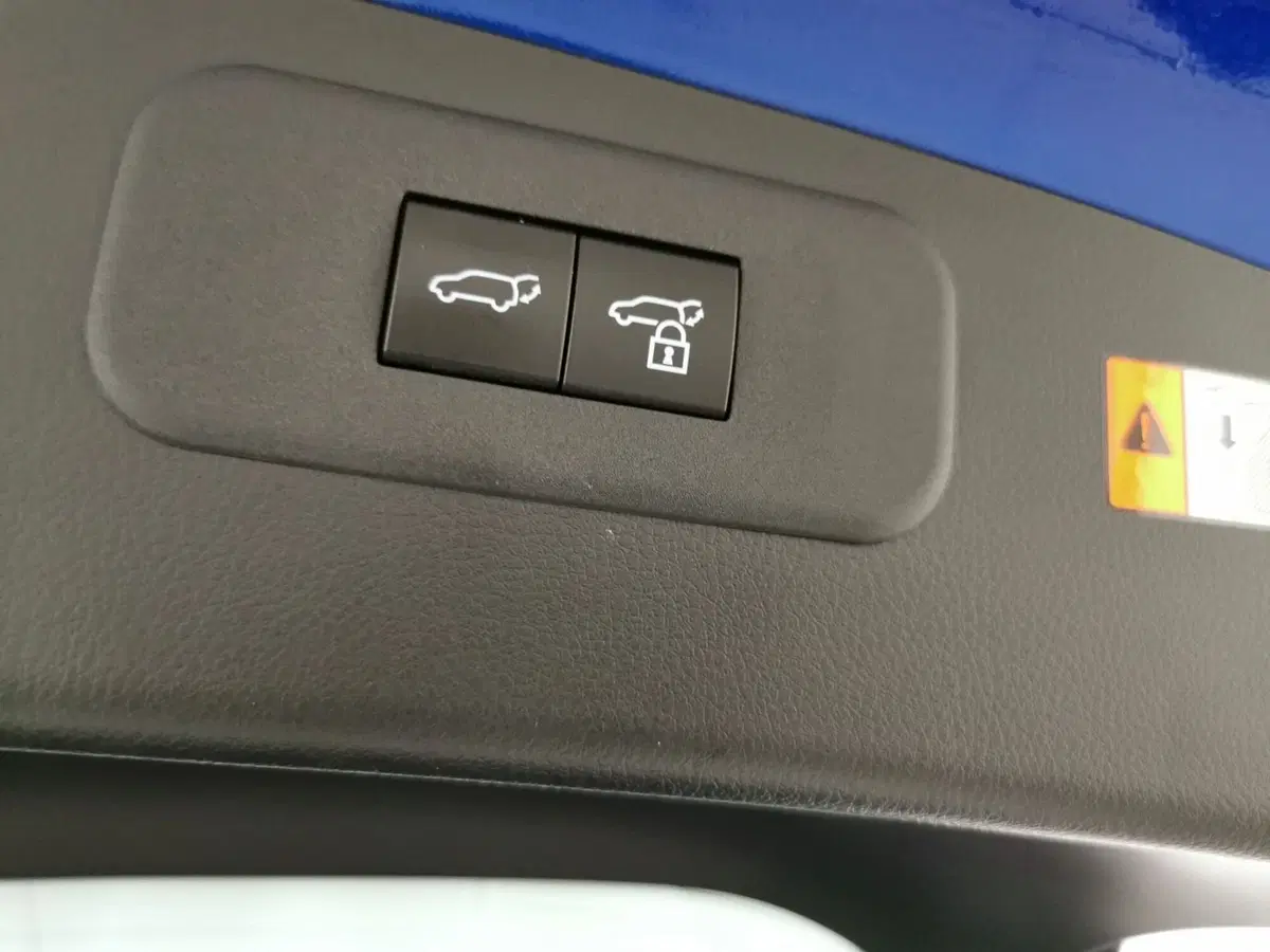 Lexus NX usata a Chieti (19)