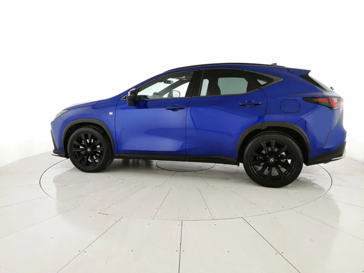 Lexus NX usata a Chieti (2)