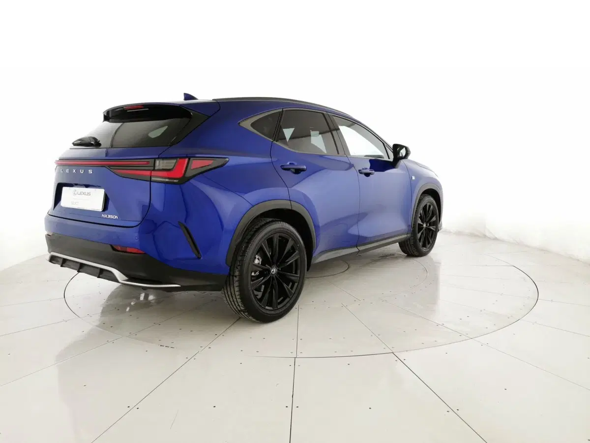 Lexus NX usata a Chieti (3)