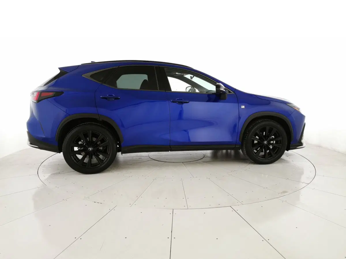 Lexus NX usata a Chieti (4)