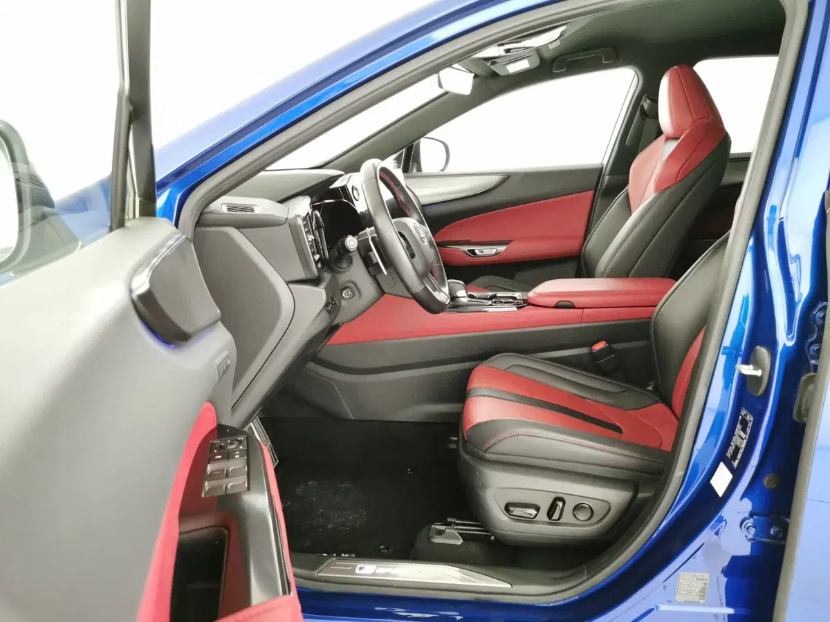 Lexus NX usata a Chieti (5)