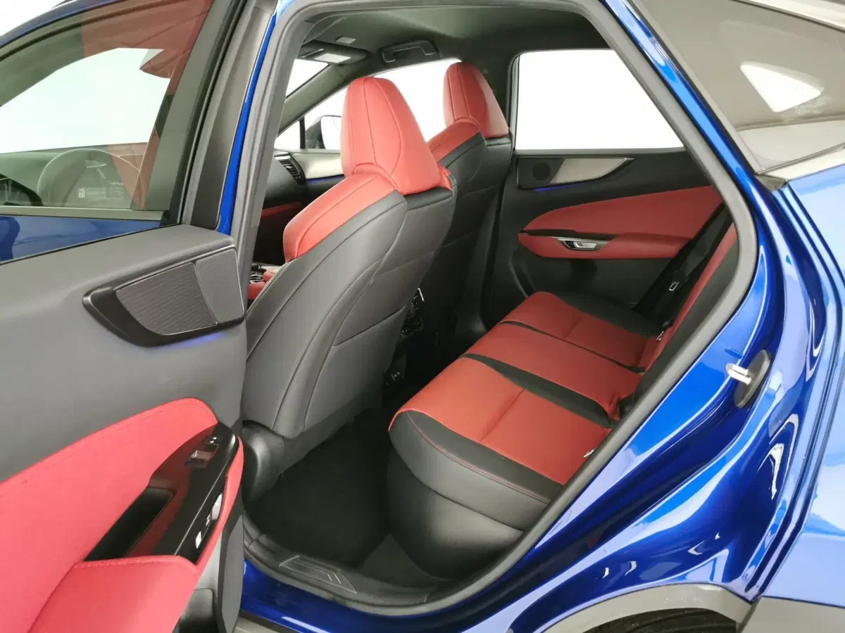 Lexus NX usata a Chieti (6)