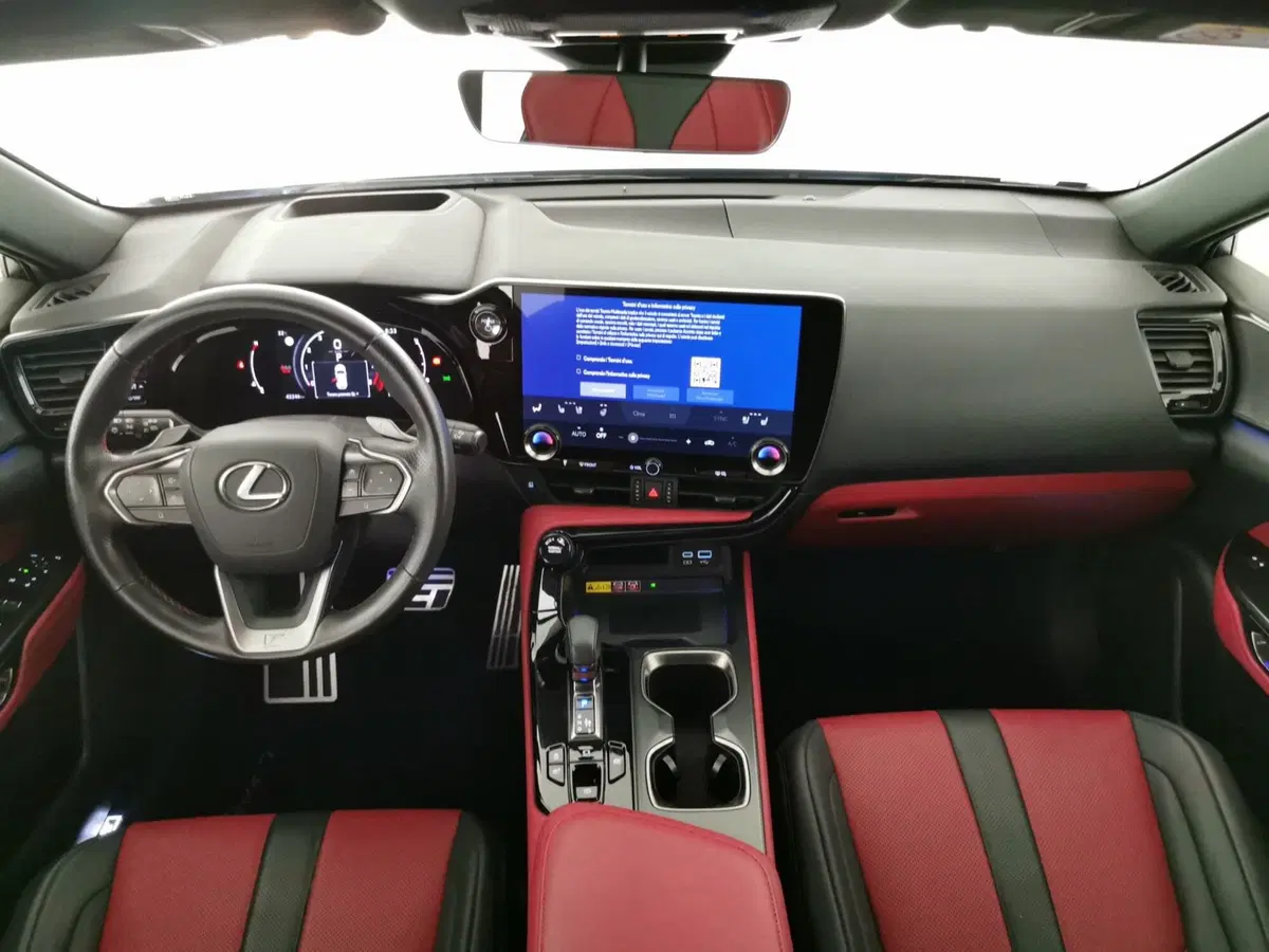 Lexus NX usata a Chieti (8)