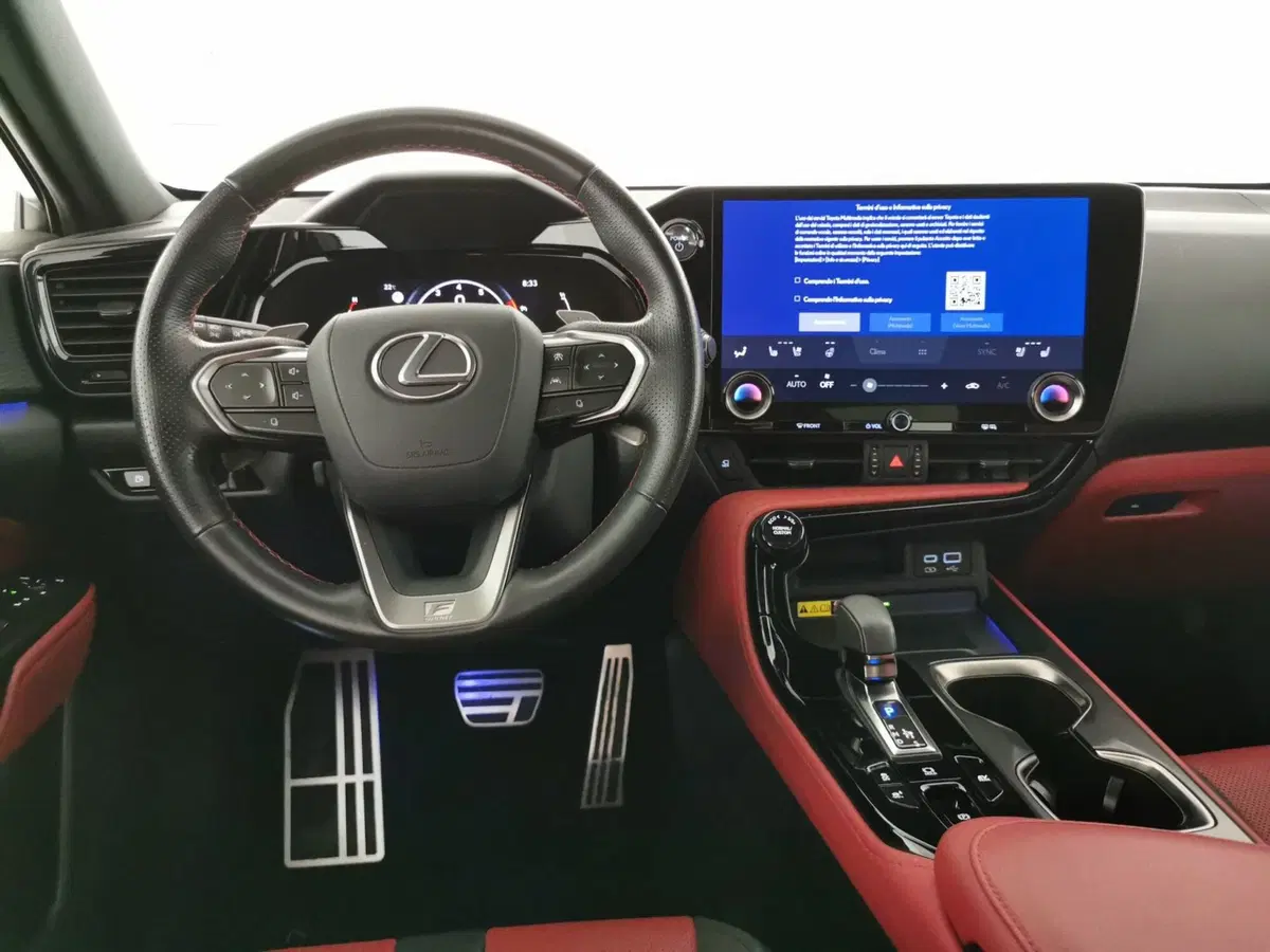 Lexus NX usata a Chieti (9)