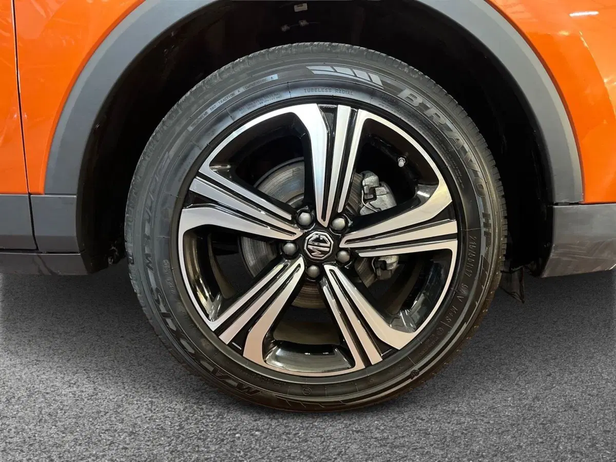Mg ZS usata a Bari (6)