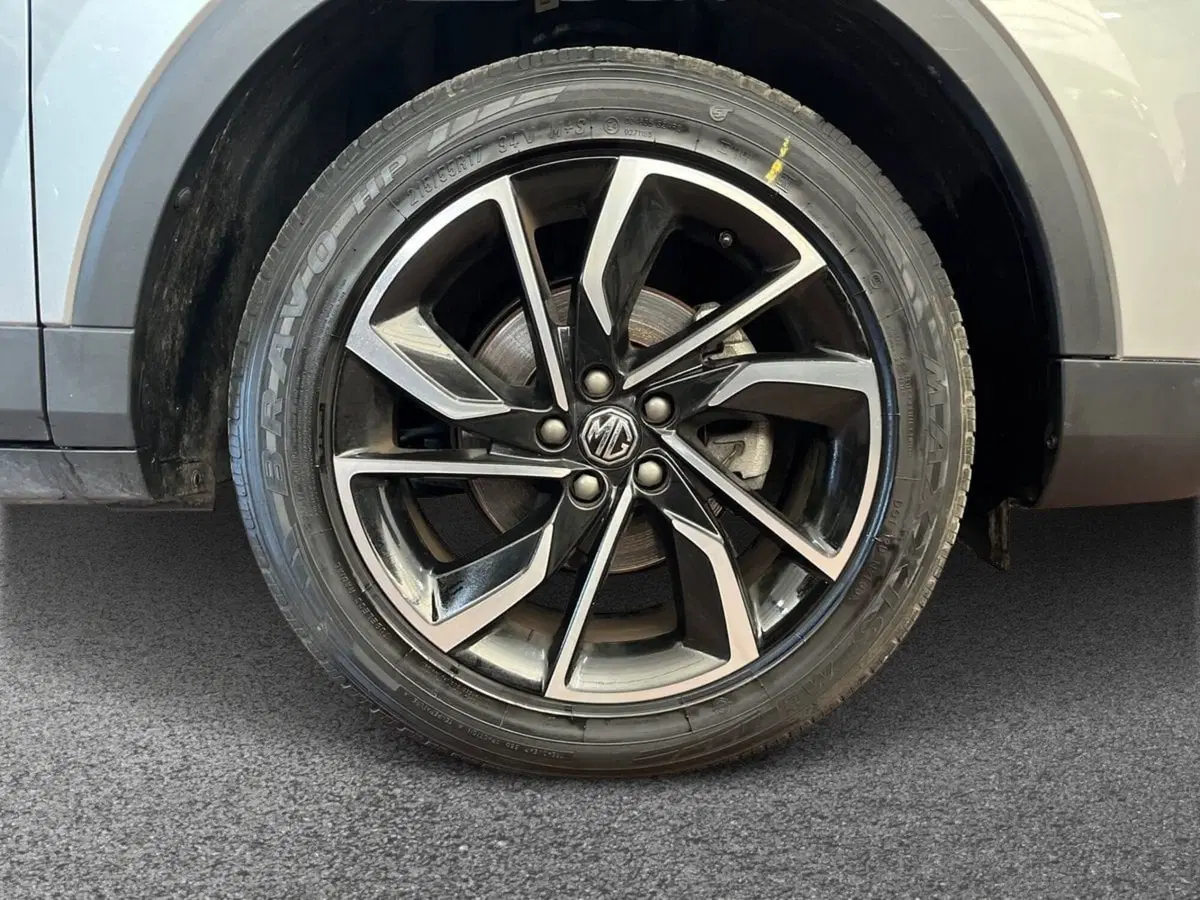Mg ZS usata a Bari (6)